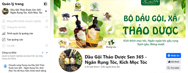 dịch vụ chăm sóc fanpage