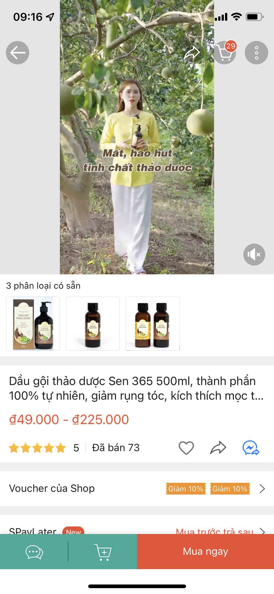 dịch vụ setup sàn thương mại điện tử