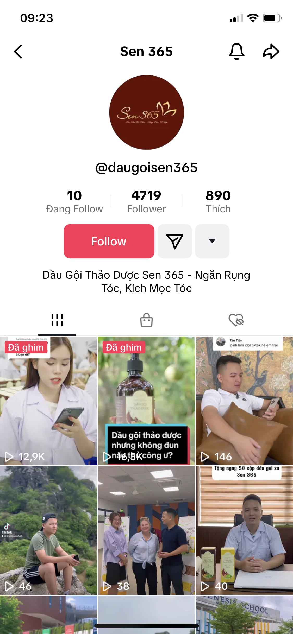 dịch vụ setup sàn thương mại điện tử