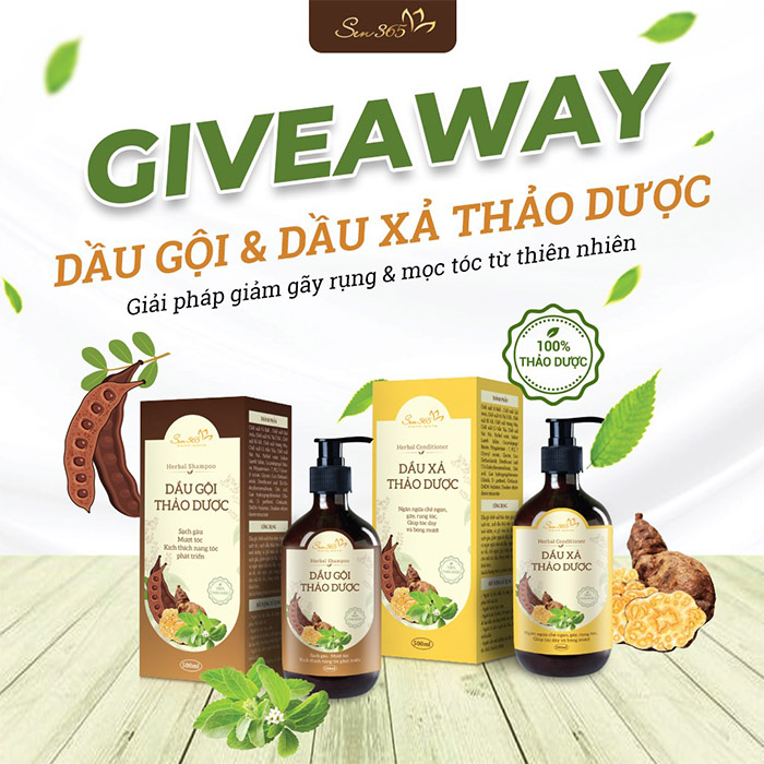 dịch vụ thiết kế banner, ấn phẩm, thương hiệu