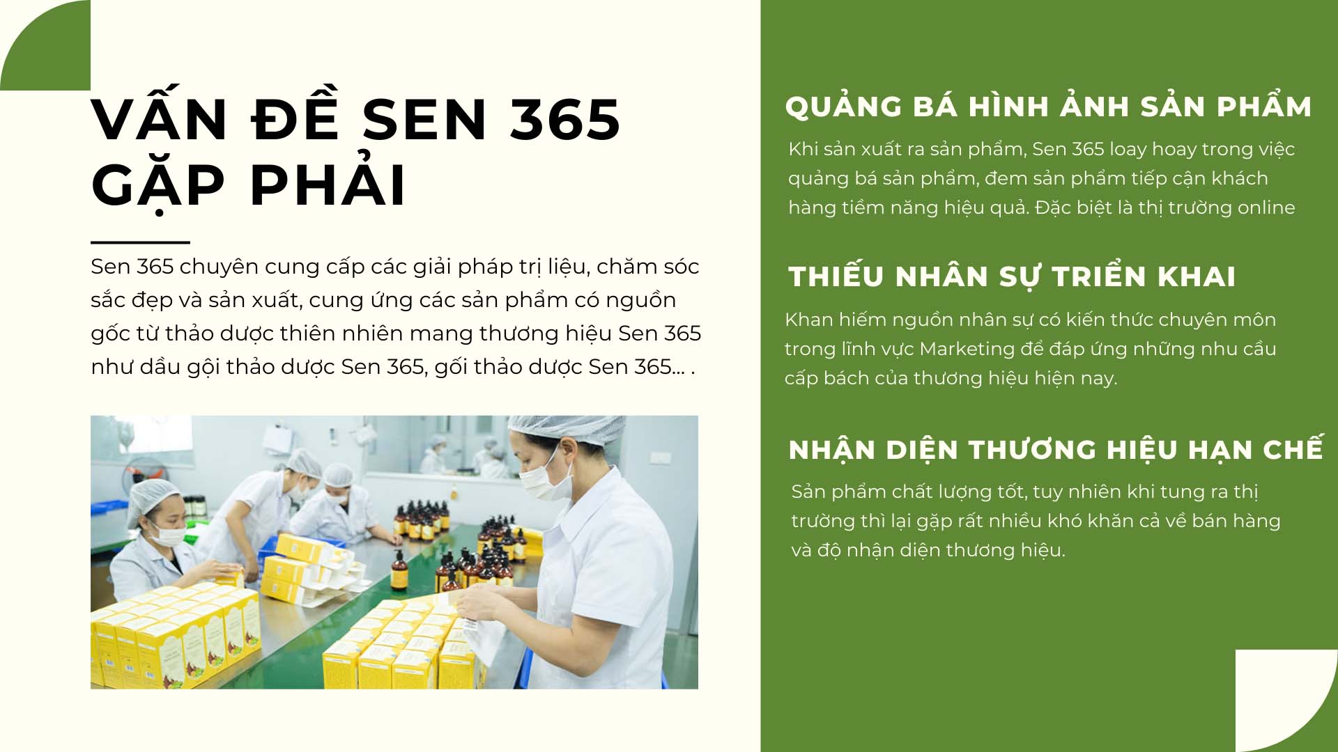 dự án phòng marketing thuê ngoài