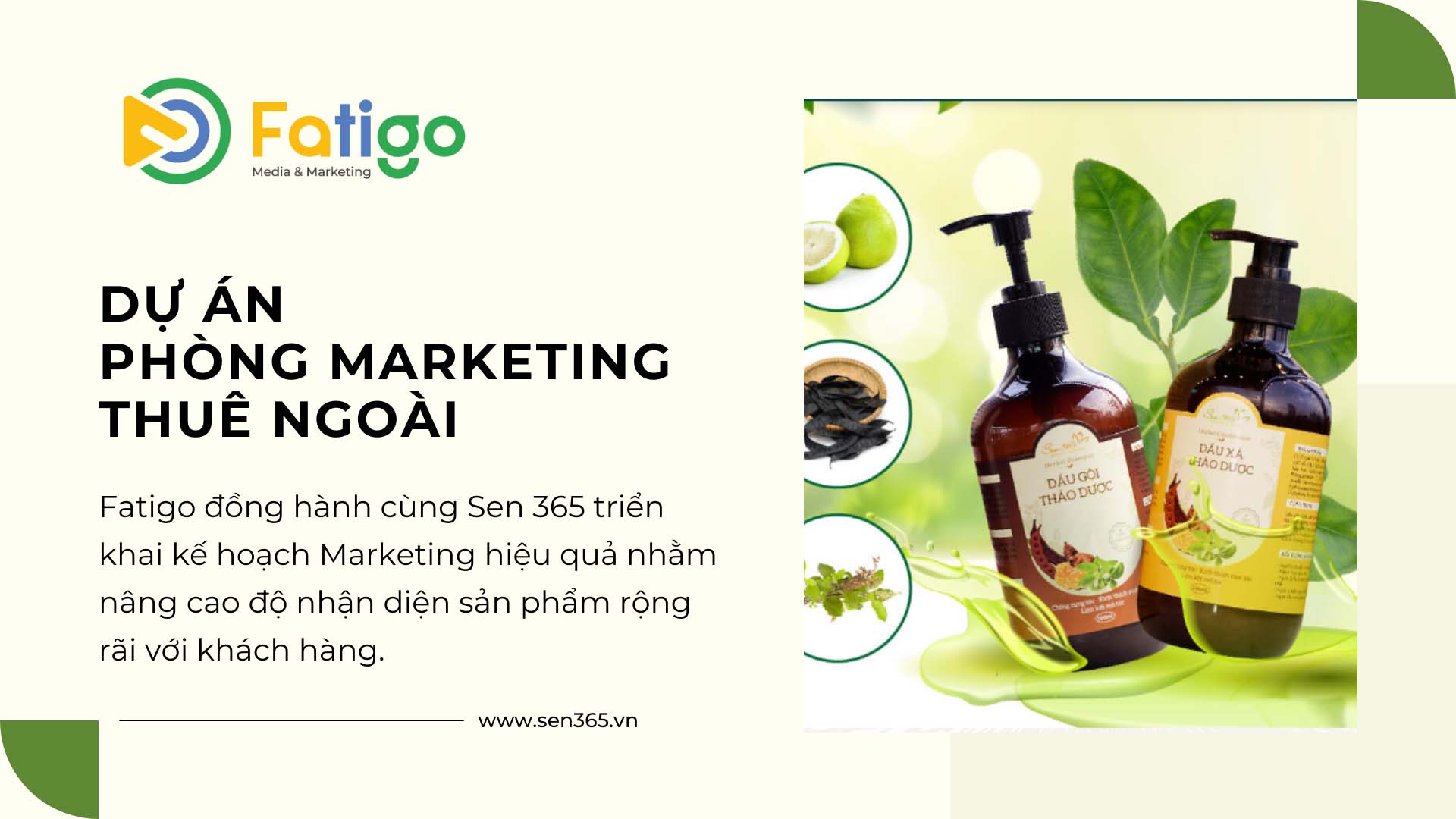 dự án phòng marketing thuê ngoài