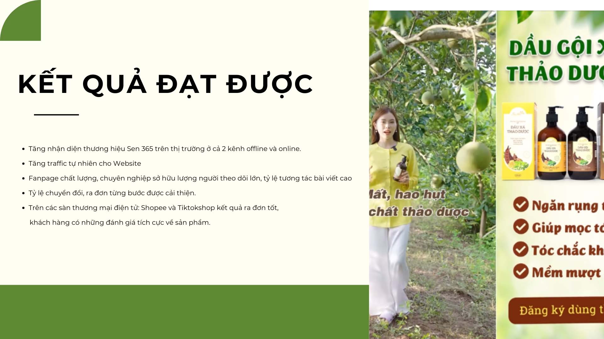 dự án phòng marketing thuê ngoài