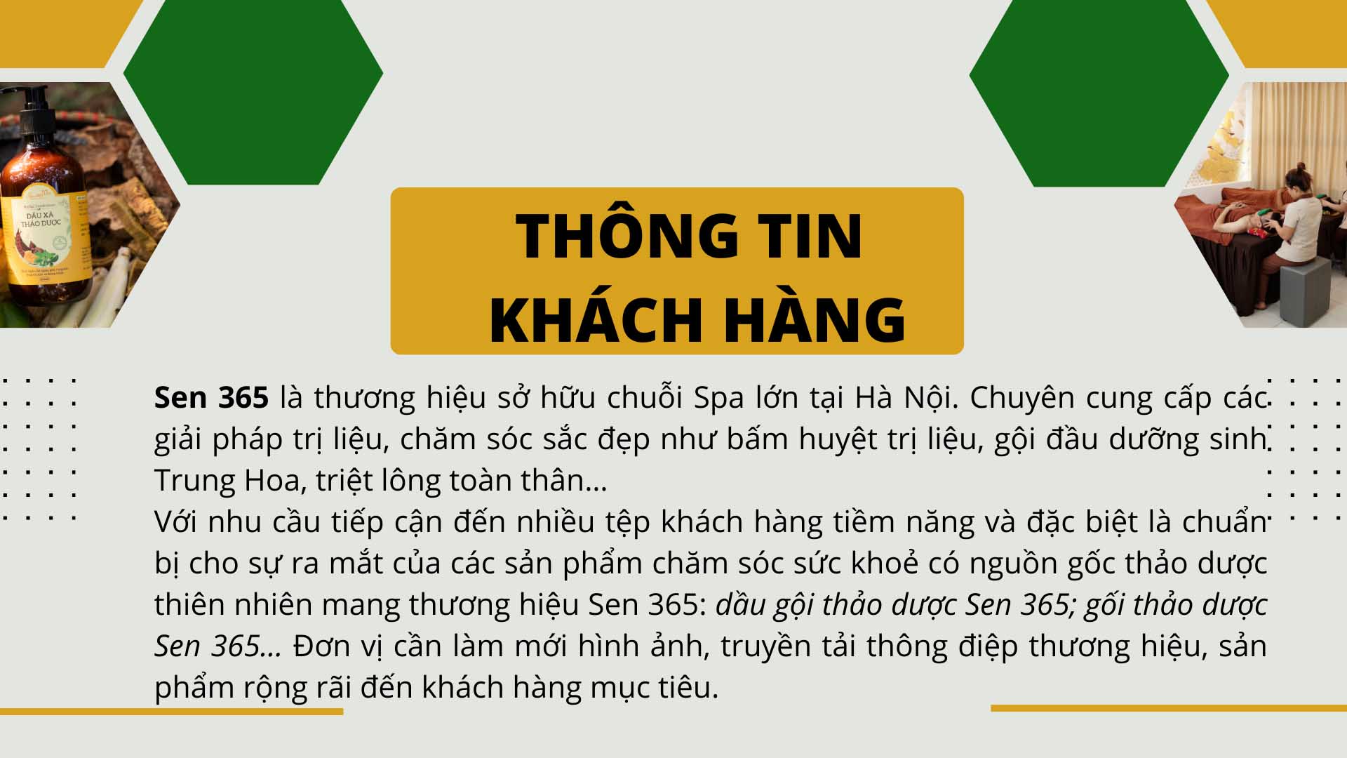 dự án fatigo thực hiện