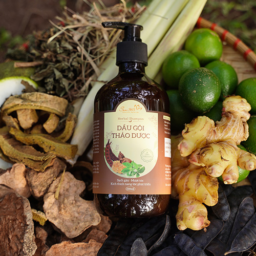 dự án quay phim, chụp ảnh, sản xuất video marketing