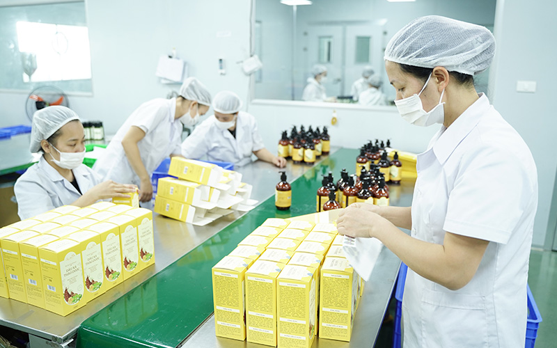 dự án quay phim, chụp ảnh, sản xuất video marketing